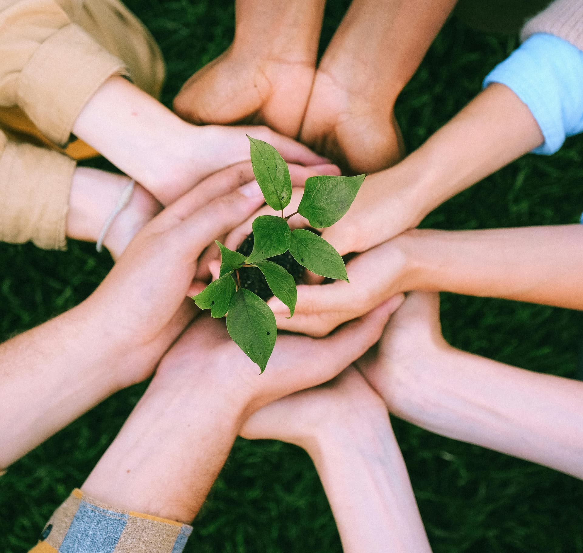 Salt Technologies Team in India