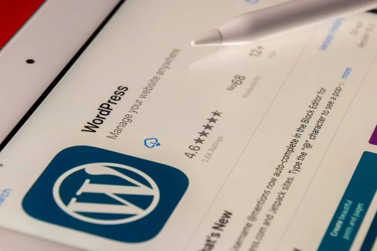 Seo-For-Wordpress-Site-Guide