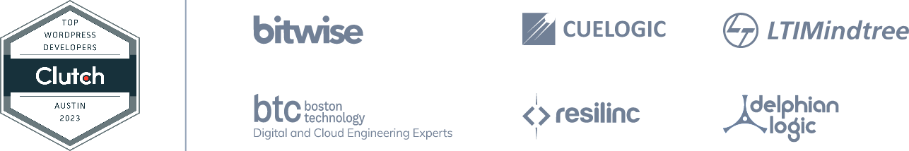 Wordpress Development Experience